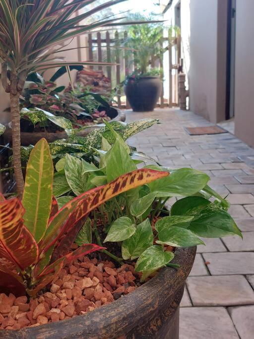 Appartement Hide Away On 21 à Mossel Bay Extérieur photo